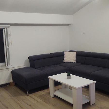 Apartman Big Novi Sad Exteriör bild